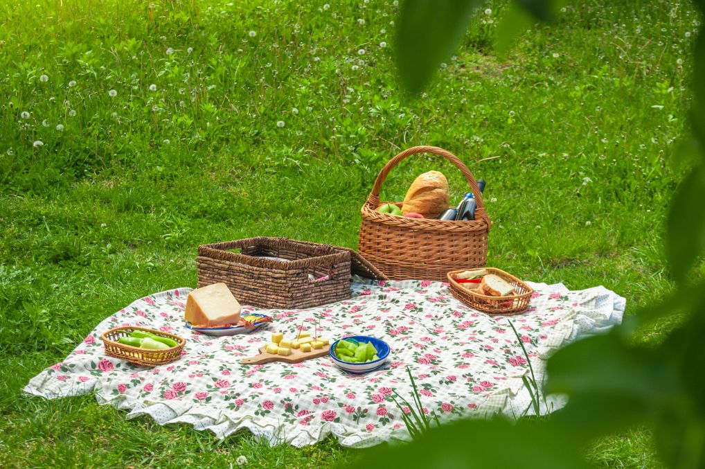 pique-nique en Alsace du Nord Karlsmühle